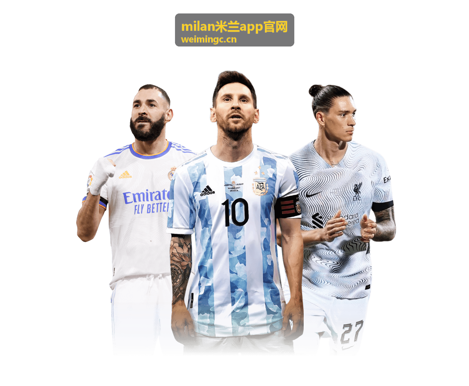 milan米兰app官网 iOS 端描述文件信任与网络权限设置