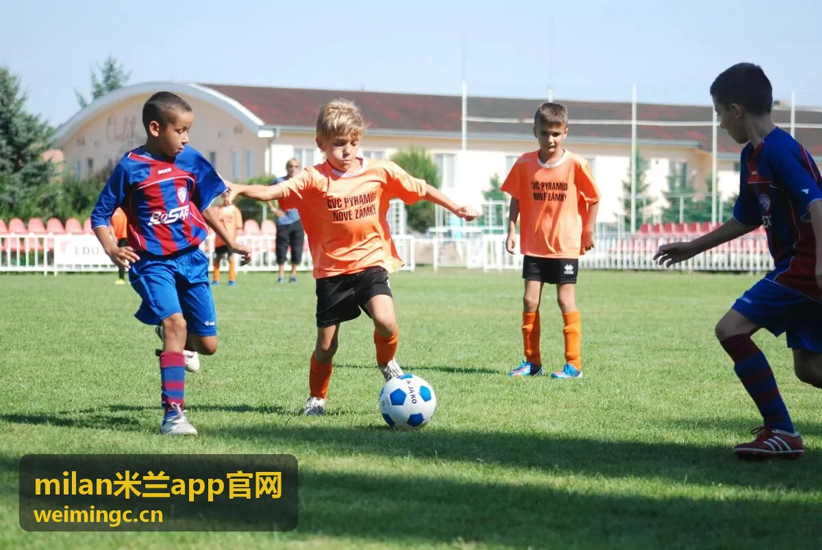milan米兰app官网 旧版本升级与覆盖安装注意事项
