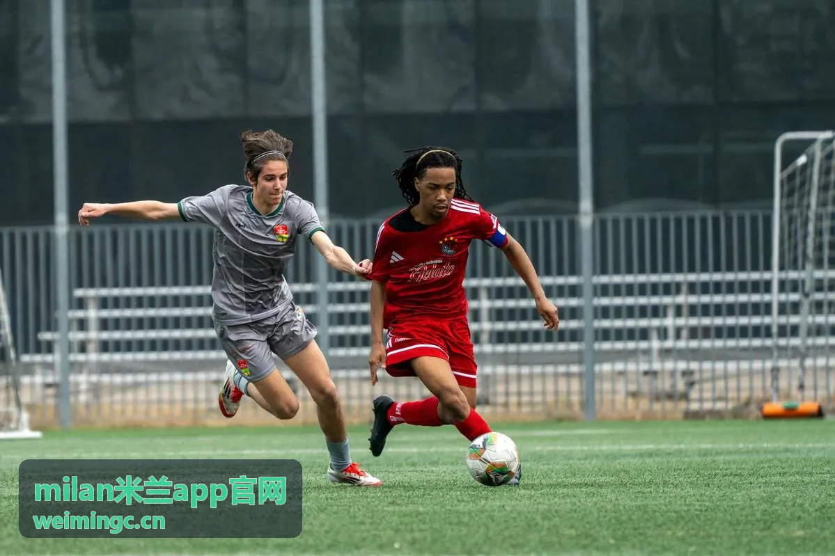 milan米兰app官网 Android 端权限开启界面说明